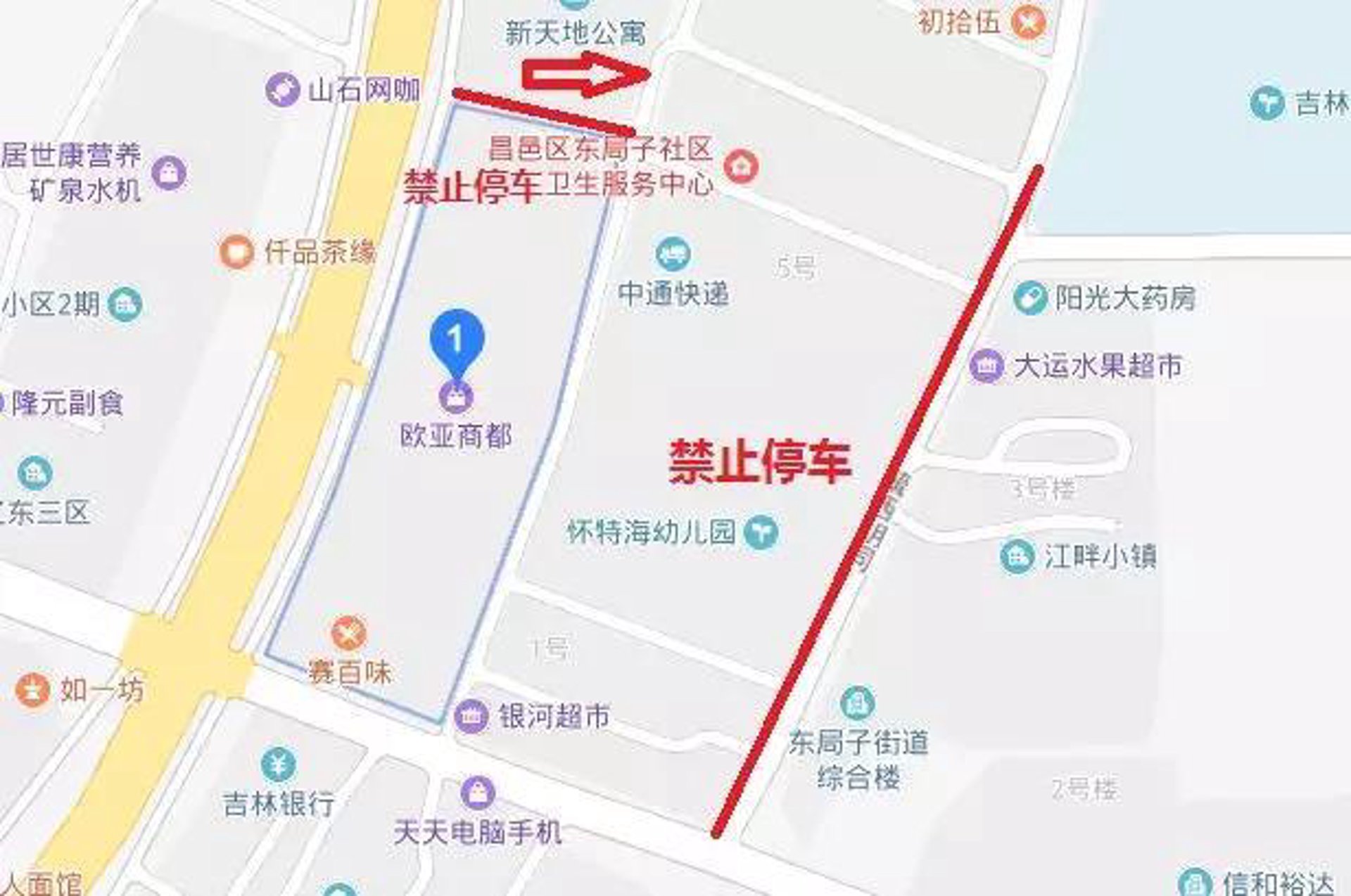 怀特海幼儿园